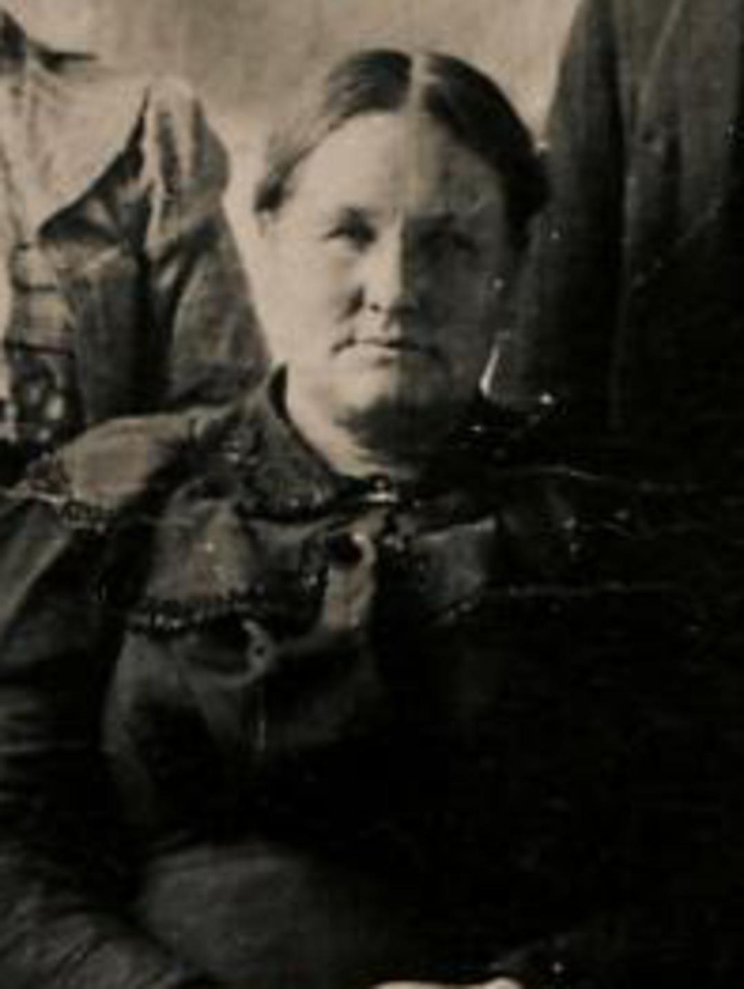 Julia Ellen Hunt (1852 - 1932) Profile
